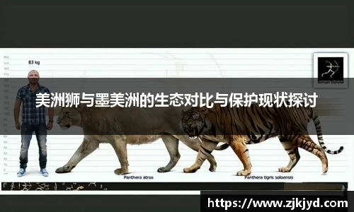 美洲狮与墨美洲的生态对比与保护现状探讨